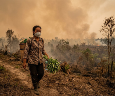 Miliyuk Tips Menjaga Imun Tubuh Saat Musim Karhutla di Kalimantan