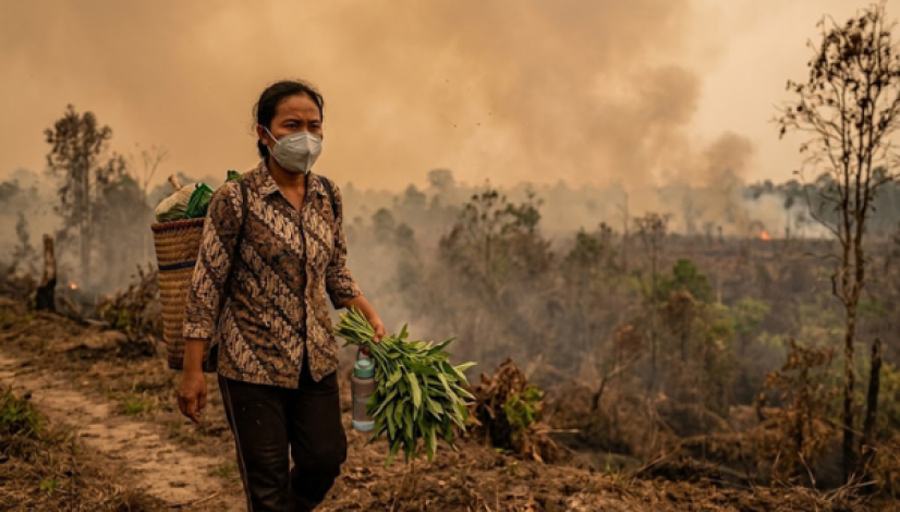 Miliyuk Tips Menjaga Imun Tubuh Saat Musim Karhutla di Kalimantan